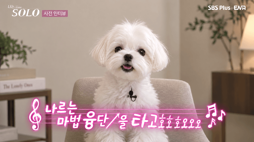 나는 솔로 사전 인터뷰 화면에 앉은 흰 말티즈. 아래에 '나르는 마법 융단을 타고요오오오' 자막이 깔려 있다.